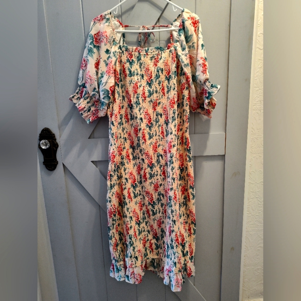 1X women's Ivy City dress